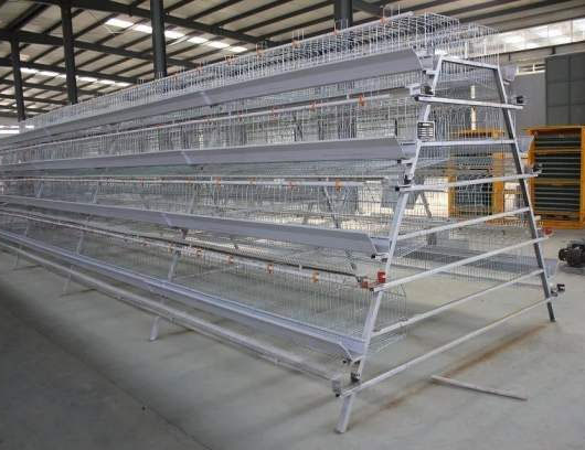 Poultry farming cage