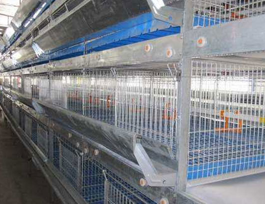 Poultry farming cage